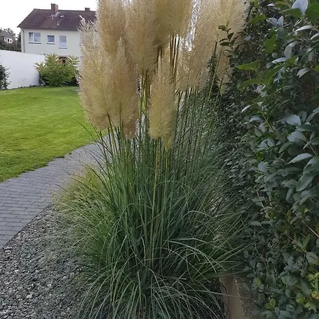 Harleshausen