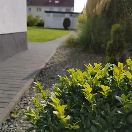 Harleshausen